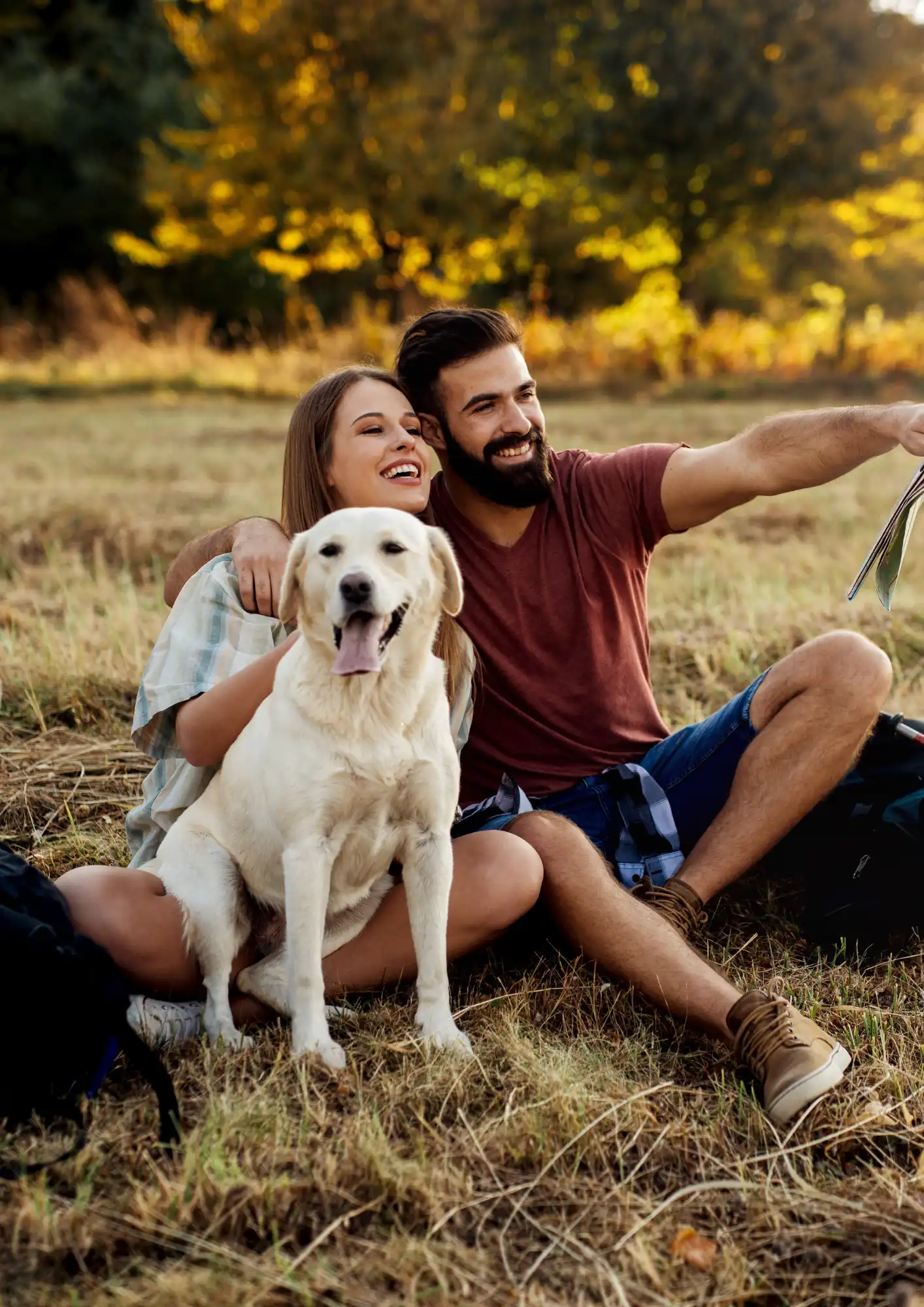Couple exploring relationship topics with online counsellor