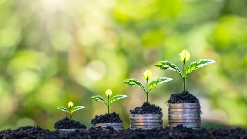 Best Marriage Counseling Near Me